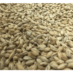 2 Row Base Grain Malt Brewers Malt
