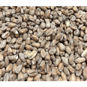 Red Wheat Specialty Grain Malt