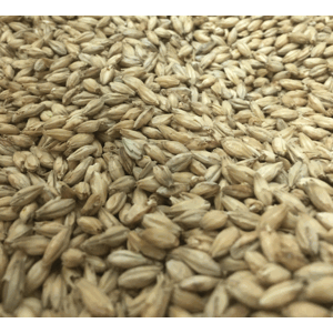 Vienna Base Grain Malt